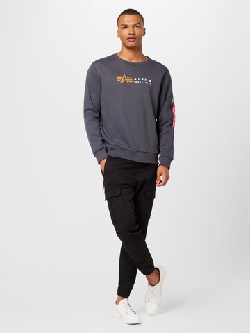 ALPHA INDUSTRIES Sweatshirt i grå