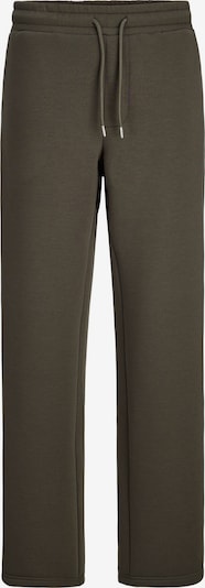 JACK & JONES Pantalon en 34 en olive, Vue avec produit