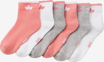LICO Athletic Socks in Mixed colors: front