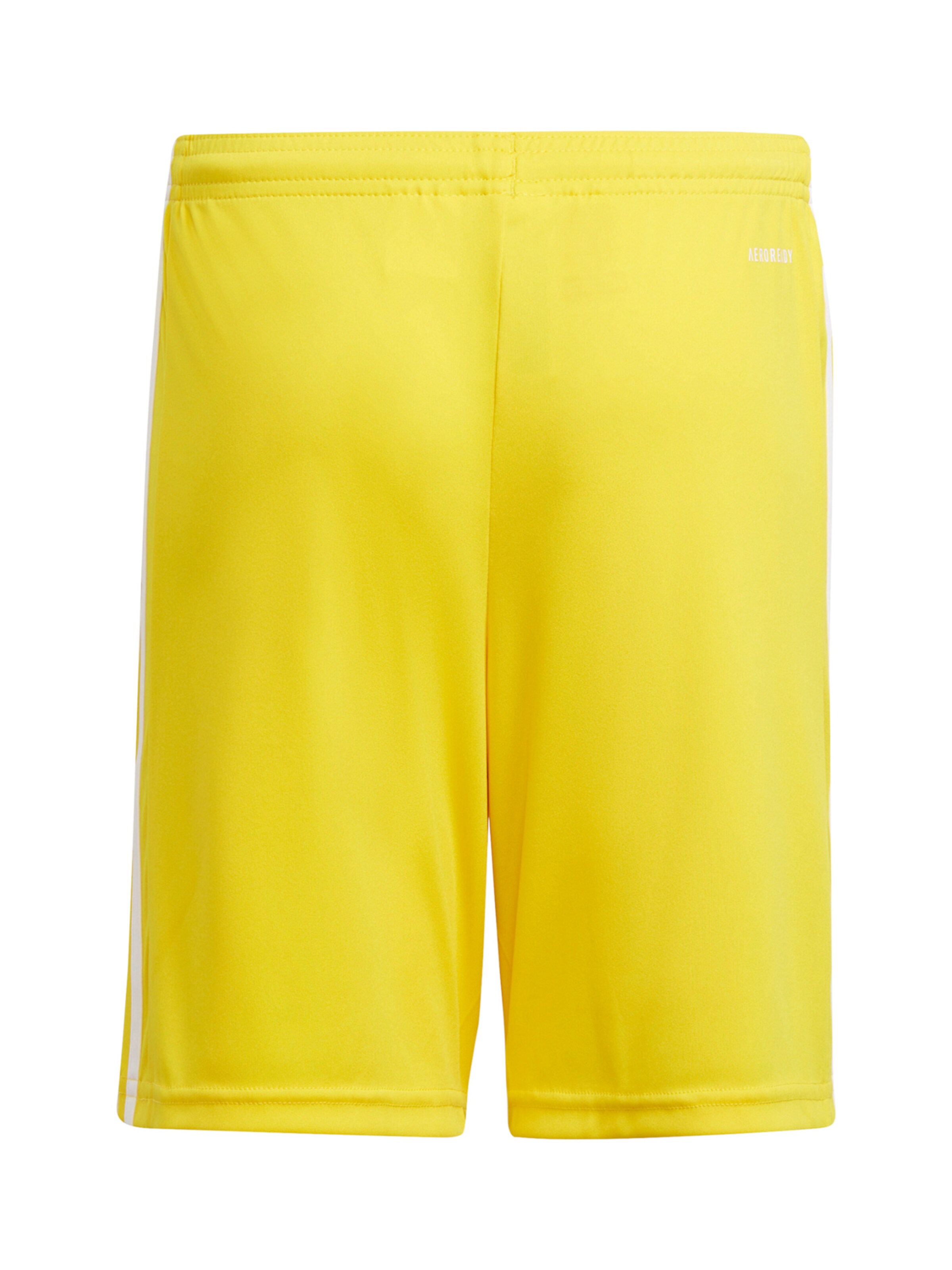 ADIDAS PERFORMANCE Regular Workout Pants 'Squadra 21' in Yellow