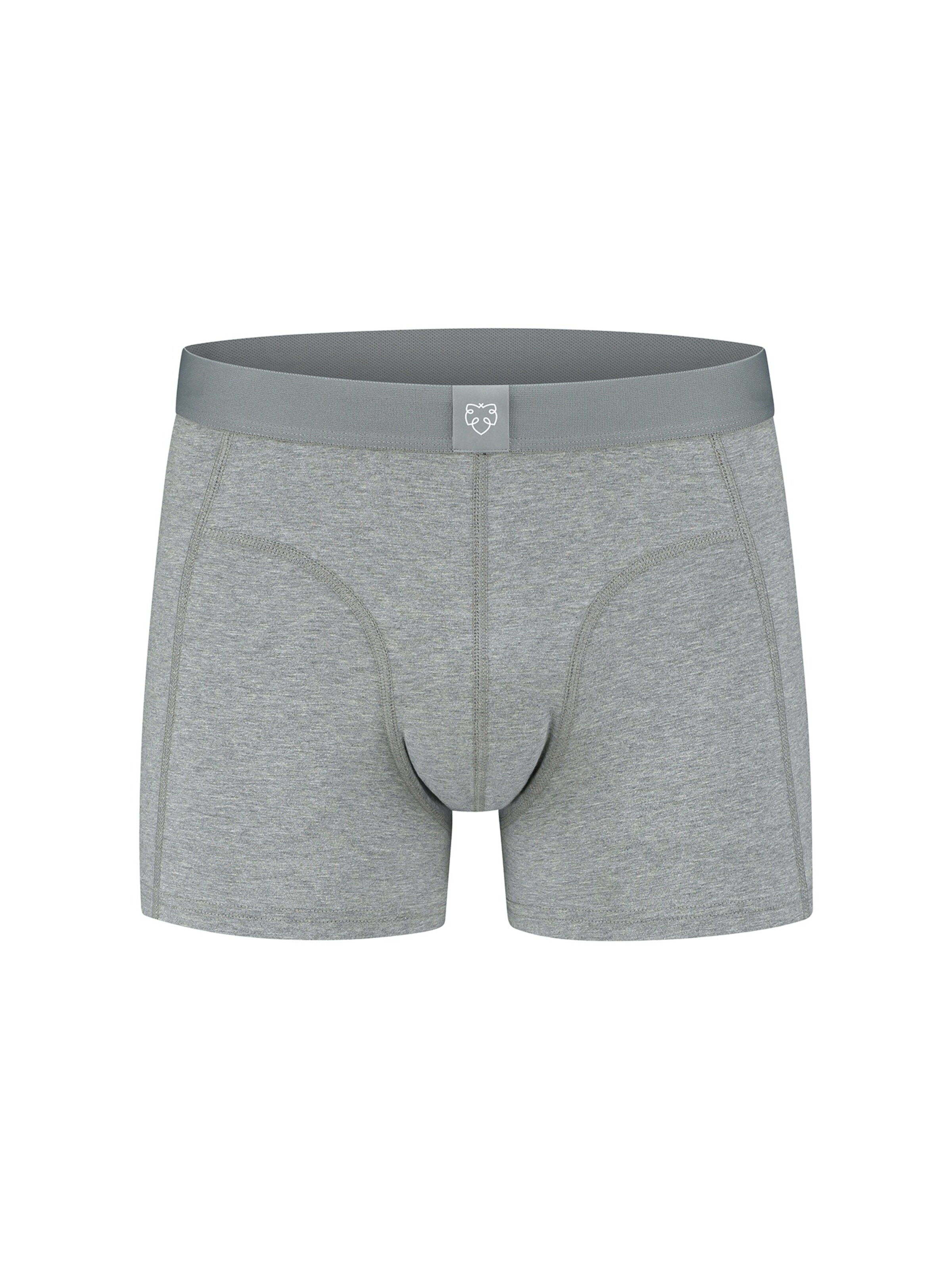 A-dam Boxer shorts 'MELOMELA' in Grey: front