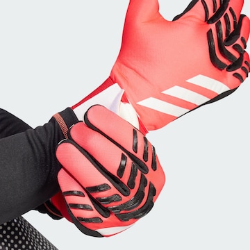 ADIDAS PERFORMANCE Sporthandschoenen 'Predator League' in Rood