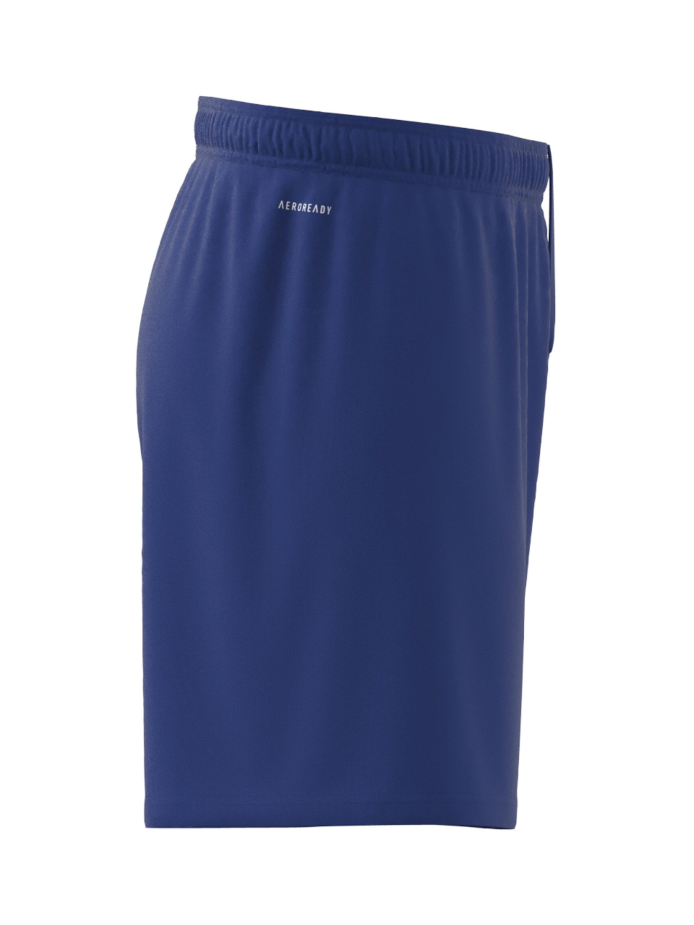 ADIDAS PERFORMANCE Regular Workout Pants 'Fortore 23' in Blue