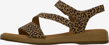 GABOR Sandaalit värissä beige: etupuoli