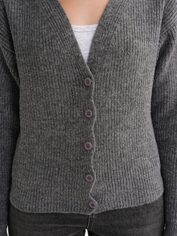 MixRay Gebreid vest in Grijs