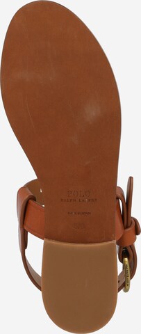 Polo Ralph Lauren Босоножки с ремешком в Коричневый