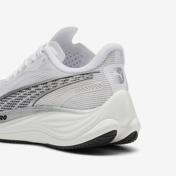 PUMA Sneaker 'Velocity' in Weiß
