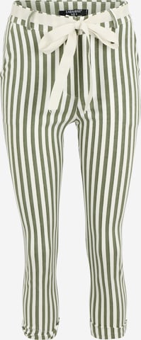 Coupe slim Pantalon 'Maya' ZABAIONE en vert : devant