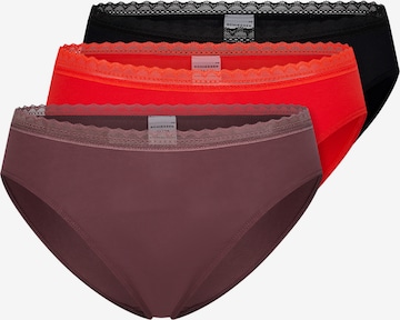 SCHIESSER Panty '95/5 Modern Cotton' in Mixed colors: front