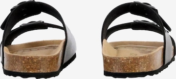 Mule GEOX en gris