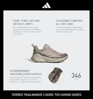 Scarpa bassa 'Trailmaker 2.0' di ADIDAS TERREX in grigio