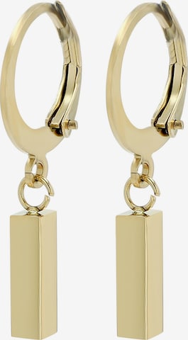Akzent Earrings 'Fedde, langlebig' in Gold: front