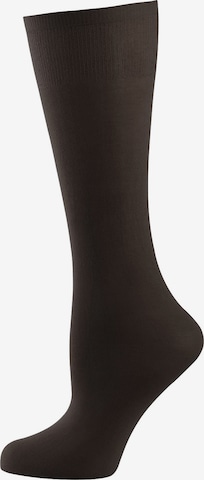 Nur Die Knee High Socks ' Cotton 60 DEN ' in Black: front