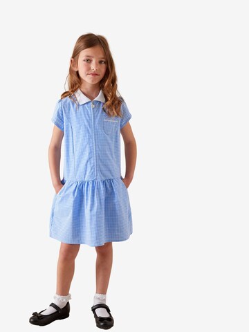Next Kleid in Blau