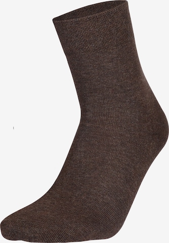 Chaussettes 'Relax Cotton' Hudson en marron : devant