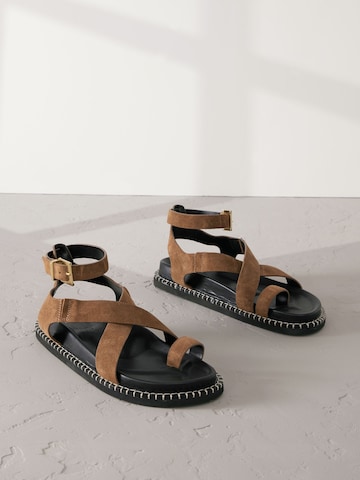 Next Strap sandal in Brown
