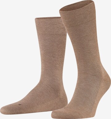 FALKE Socks 'Sensitive London' in Brown: front