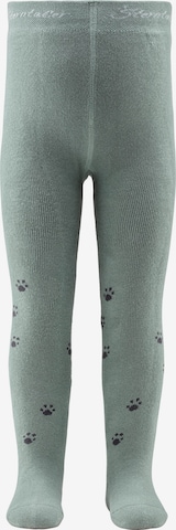 STERNTALER Strumpfhose 'Eisbär' in Grün: Vorderseite