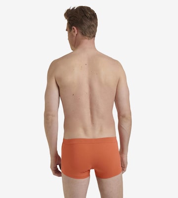 SLOGGI Boxershorts in Grün