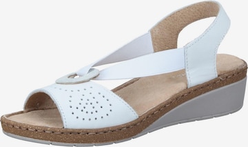 Comfortabel Sandals in White: front