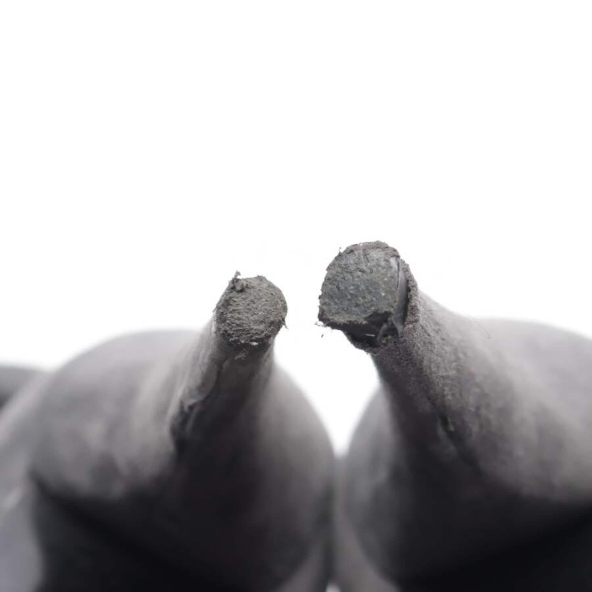 PRADA Dress Boots in 37,5 in Grey