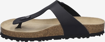 JOSEF SEIBEL T-Bar Sandals in Black: front