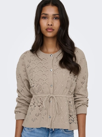 Cardigan 'ONLELKE' ONLY en gris : devant