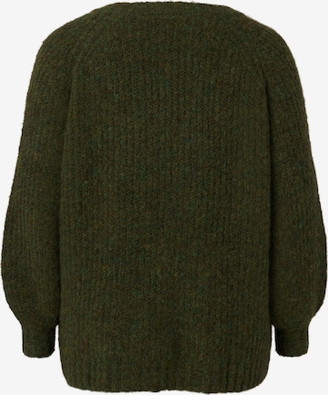Zizzi Sweter 'FRENCH' w kolorze zielony