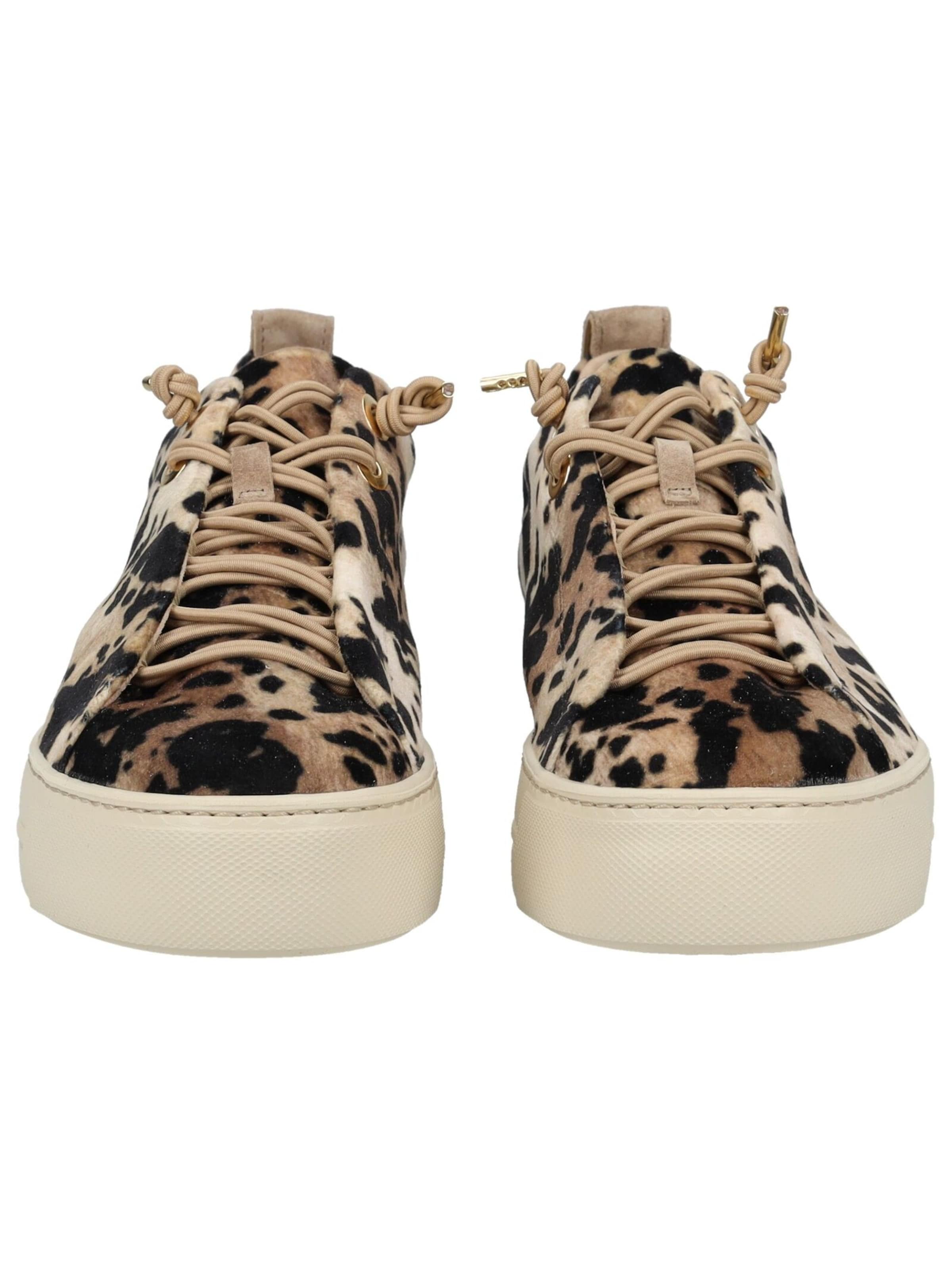 Baskets basses Paul Green en marron