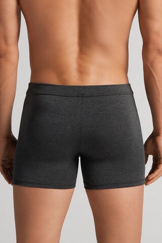INTIMISSIMI Boxer shorts in Grey