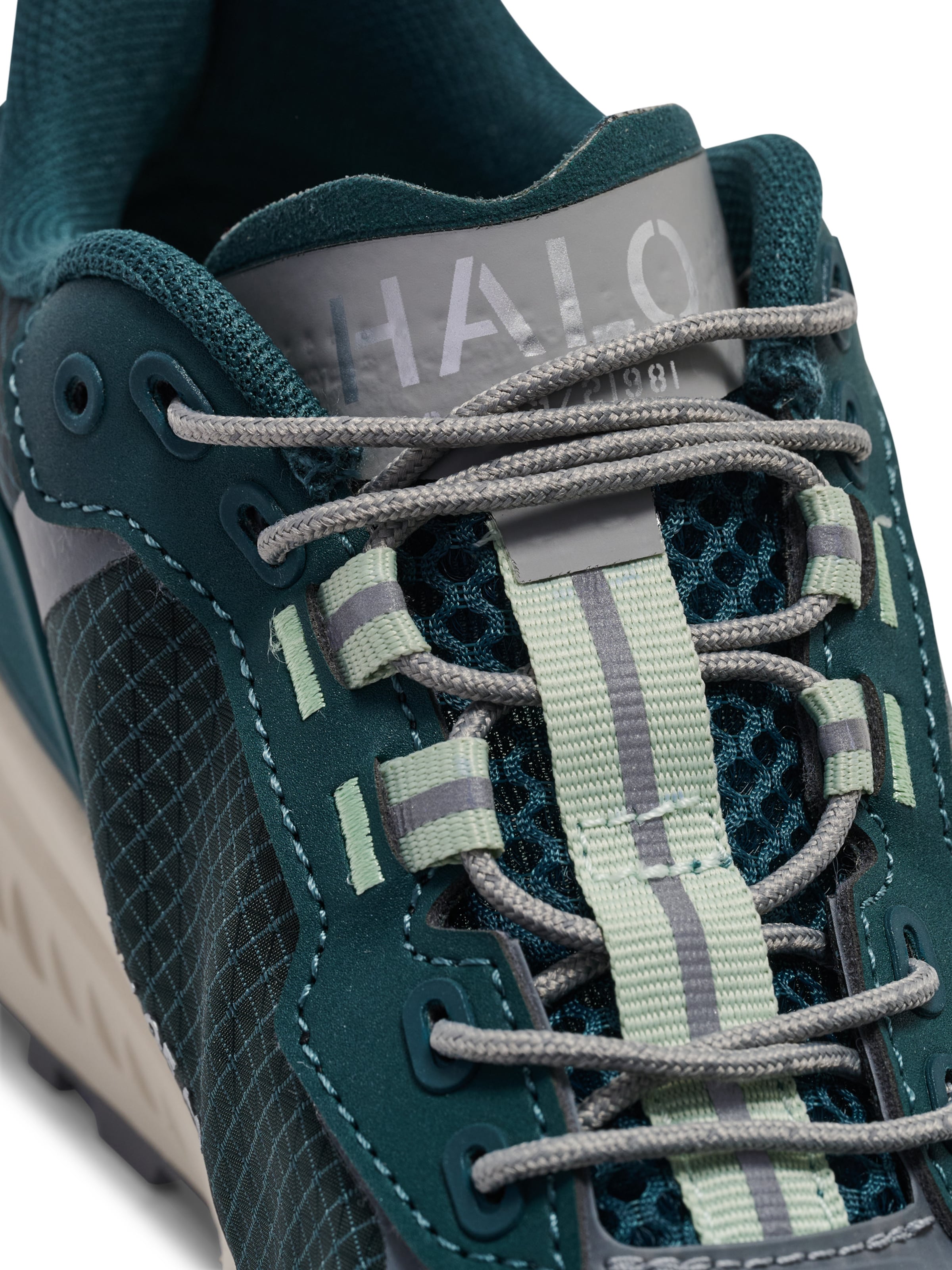 Baskets basses HALO en vert