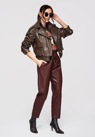 Ombre Tussenjas in Bruin