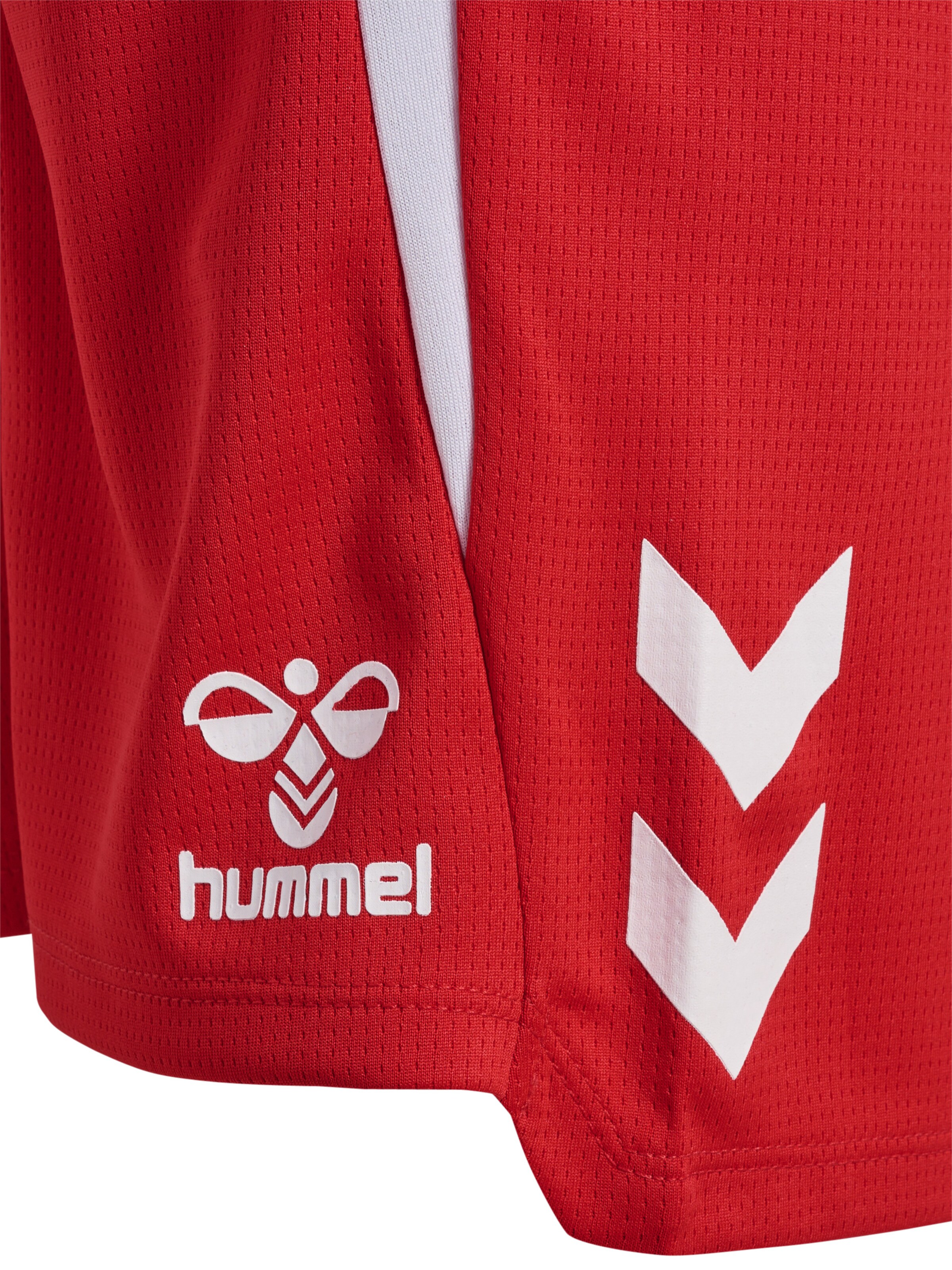 Hummel regular Funktionsbukser 'Lead 2.0' i rød