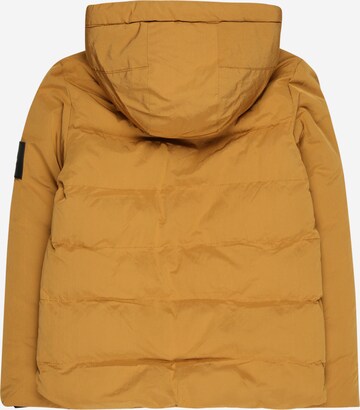 Petrol Industries Winter jacket in Brown