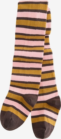 mišri Next Pėdkelnės: priekis