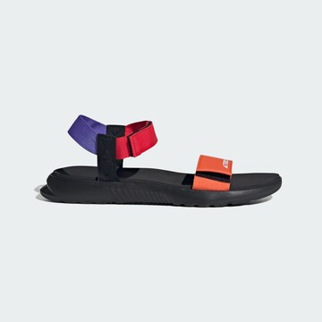 ADIDAS TERREX Sandal 'Hydroterra' in Orange