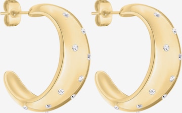 TAMARIS Earrings in Gold: front