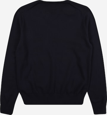 Polo Ralph Lauren Regular fit Sweater in Blue