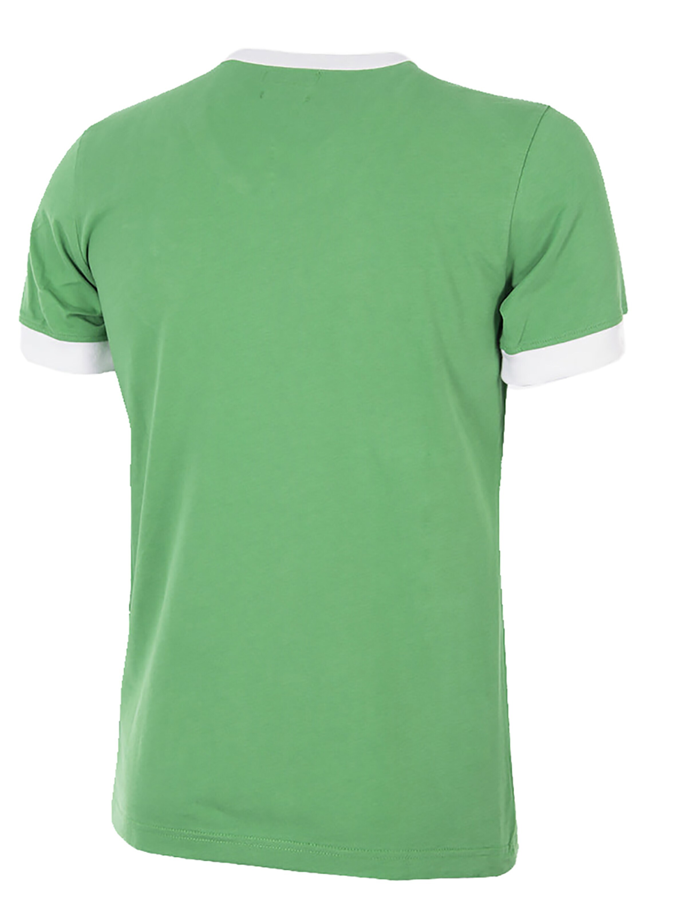 Copa Jersey 'Retro Irland 1965' in Green