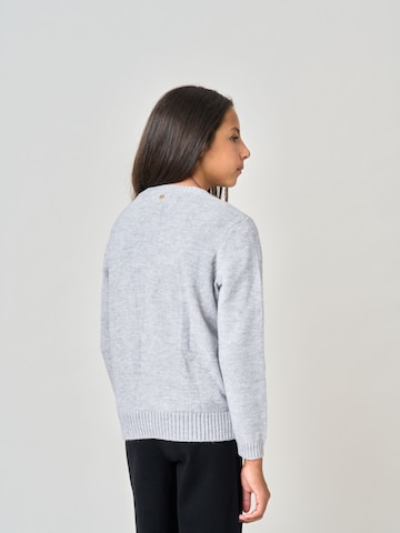 Pull-over Deeluxe en gris