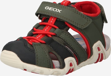 Chaussures ouvertes GEOX en vert : devant