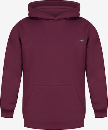 Smilodox Sweat jacket ' Dawson ' in Red: front