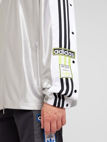 ADIDAS ORIGINALS Φθινοπωρινό και ανοιξιάτικο μπουφάν 'MEGABREAK' σε ασημί