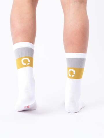 Occulto Athletic Socks 'Rennrad' in White