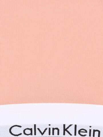 Bustier Soutien-gorge Calvin Klein Underwear Plus en rose