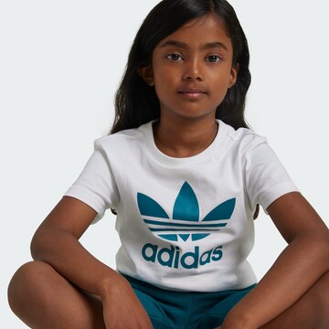 Survêtement 'Adicolor' ADIDAS ORIGINALS en vert