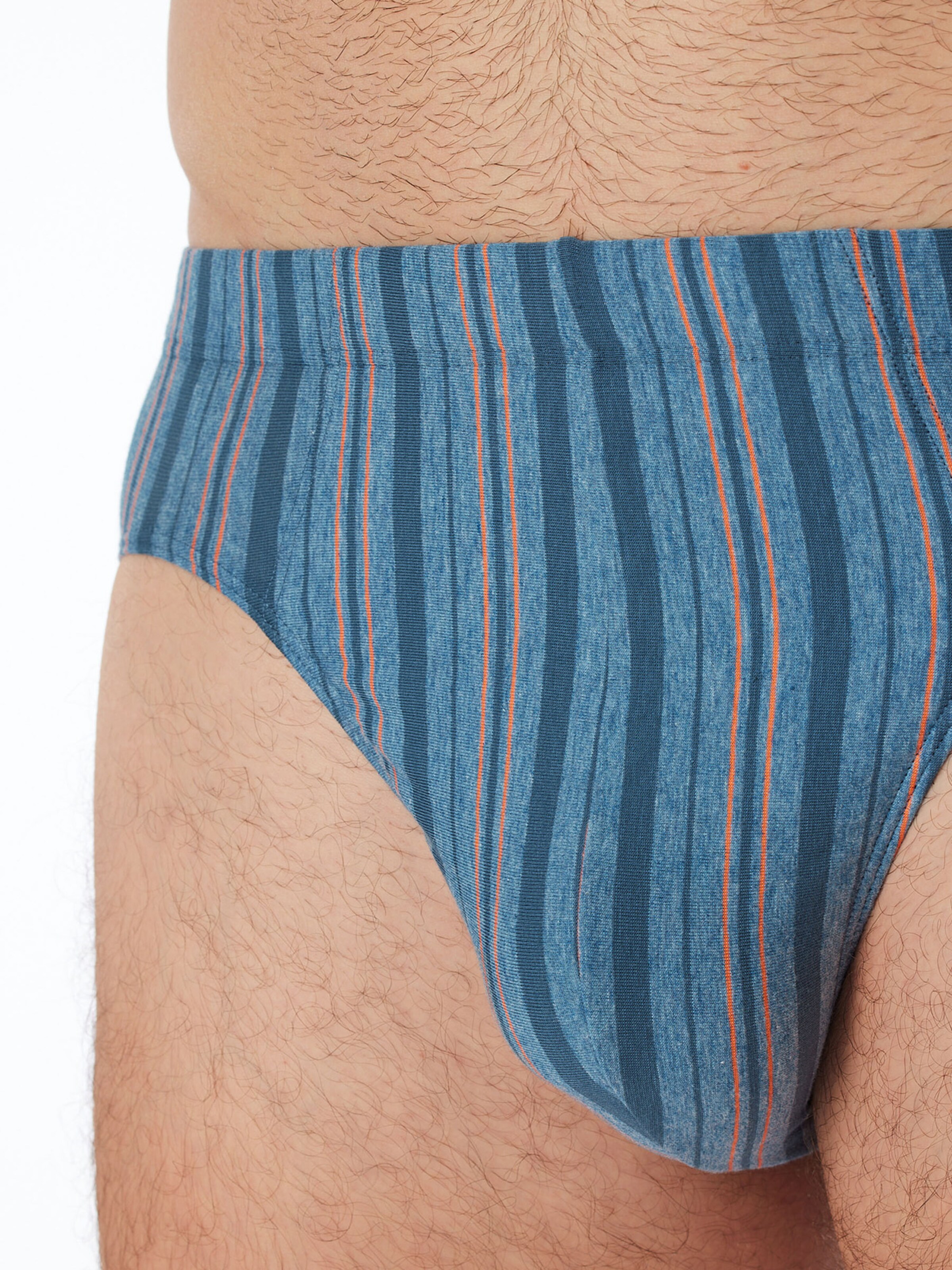 SCHIESSER Slip ' 95/5 ' in Blue