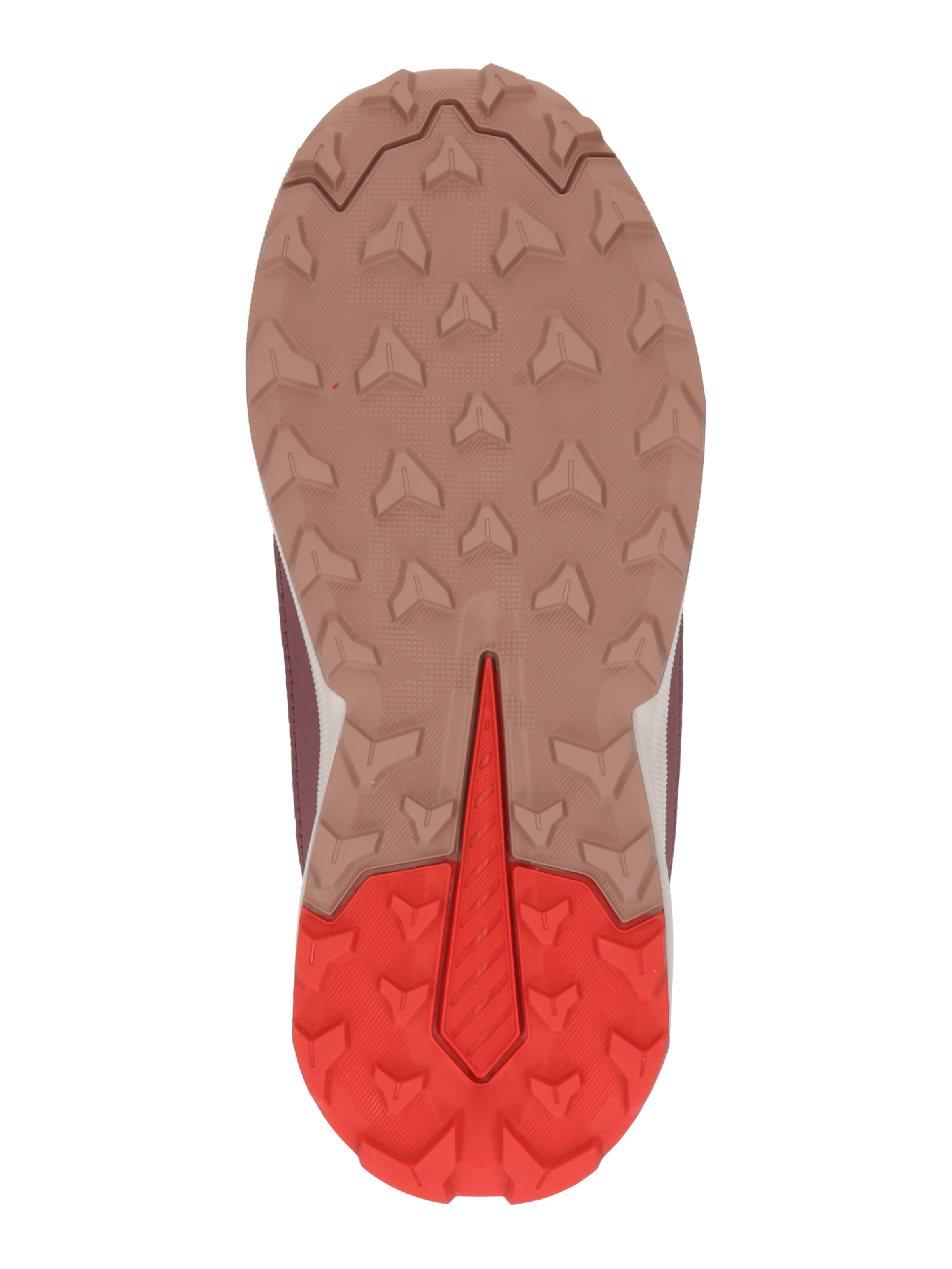 lillā ADIDAS TERREX Kurpes 'TRAILMAKER 2'