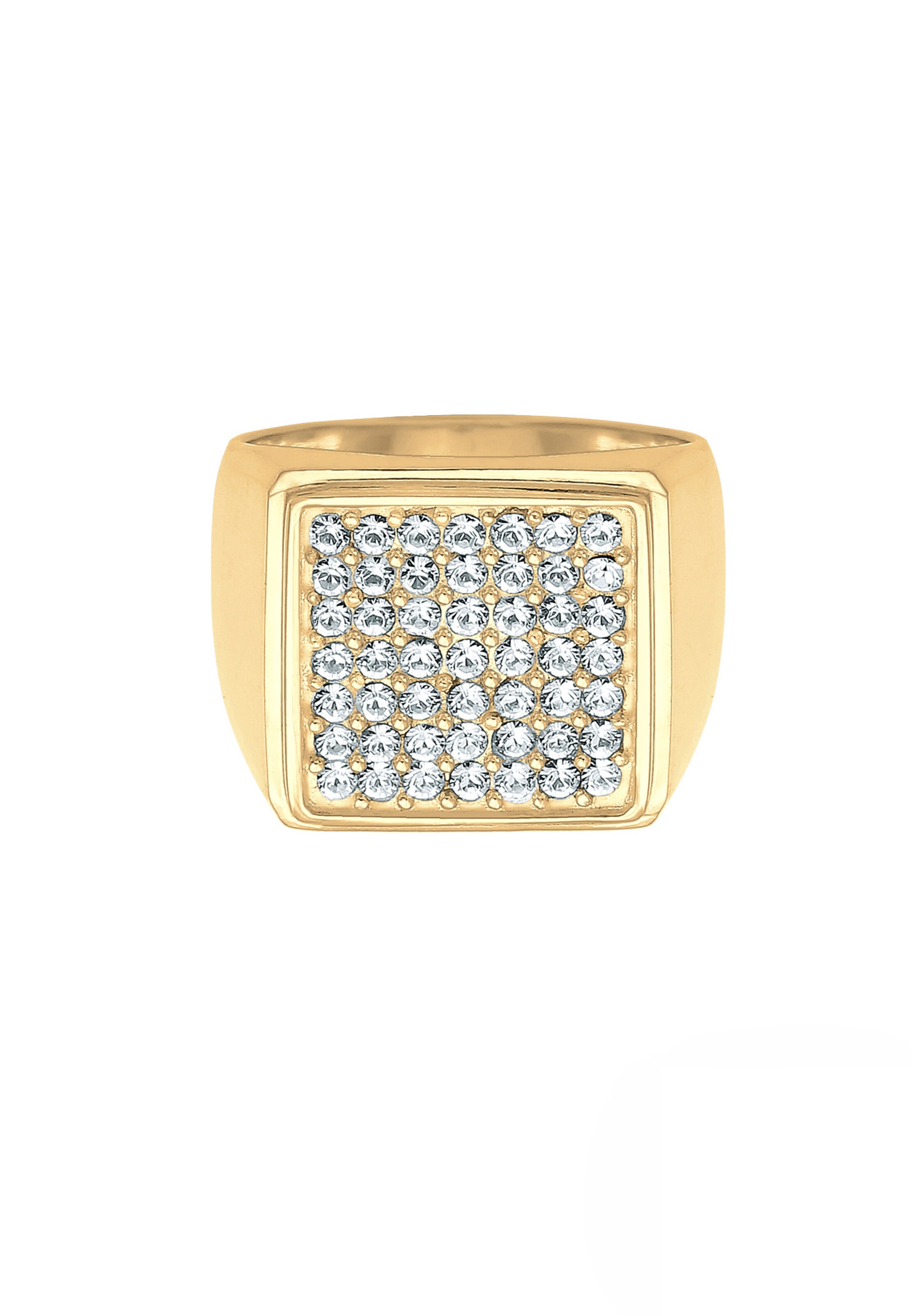 ELLI PREMIUM Siegelring in Gold