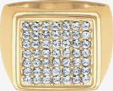 ELLI PREMIUM Ring in Goud